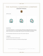 1.12 Ct. Tourmaline from Mozambique Appraisal