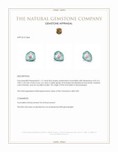 1.12 Ct. Tourmaline from Mozambique Appraisal