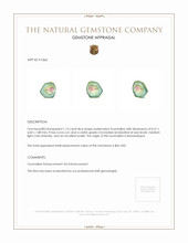 1.13 Ct. Tourmaline from Mozambique Appraisal