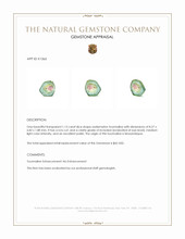 1.13 Ct. Tourmaline from Mozambique Appraisal