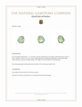 1.13 Ct. Tourmaline from Mozambique Appraisal