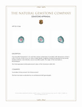 1.25 Ct. Tourmaline from Mozambique Appraisal