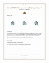 1.25 Ct. Tourmaline from Mozambique Appraisal