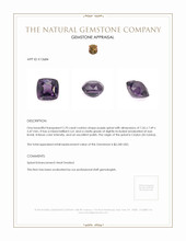 2.70 Ct. Spinel from Ceylon (Sri Lanka) Appraisal