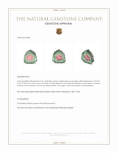 2.79 Ct. Tourmaline from Mozambique Appraisal