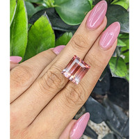 19.77 Ct. Tourmaline from Ceylon (Sri Lanka) Life Style