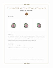 3.37 Ct. Tourmaline from Mozambique Appraisal