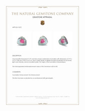 3.39 Ct. Tourmaline from Mozambique Appraisal