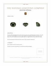 3.80 Ct. Zircon from Ceylon (Sri Lanka) Appraisal