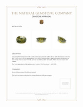 4.48 Ct. Zircon from Ceylon (Sri Lanka) Appraisal