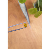 2.38 Ct. Zircon from Ceylon (Sri Lanka) Life Style