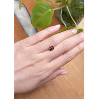 1.98 Ct. Zircon from Ceylon (Sri Lanka) Life Style