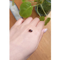 1.98 Ct. Zircon from Ceylon (Sri Lanka) Life Style