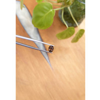 1.98 Ct. Zircon from Ceylon (Sri Lanka) Life Style