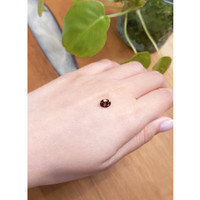 1.17 Ct. Zircon from Ceylon (Sri Lanka) Life Style