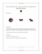 0.91 Ct. Brown Zircon from Ceylon (Sri Lanka) Appraisal