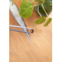 0.91 Ct. Zircon from Ceylon (Sri Lanka) Life Style