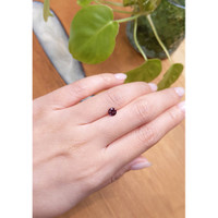 0.67 Ct. Zircon from Ceylon (Sri Lanka) Life Style