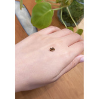 0.90 Ct. Zircon from Ceylon (Sri Lanka) Life Style