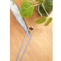 1.21 Ct. Zircon from Ceylon (Sri Lanka) Life Style