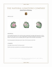 3.49 Ct. Tourmaline from Mozambique Appraisal