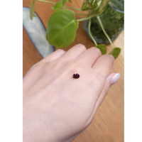 0.76 Ct. Zircon from Ceylon (Sri Lanka) Life Style