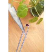 0.76 Ct. Zircon from Ceylon (Sri Lanka) Life Style