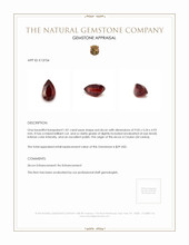 1.81 Ct. Zircon from Ceylon (Sri Lanka) Appraisal