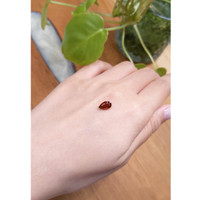 1.81 Ct. Zircon from Ceylon (Sri Lanka) Life Style