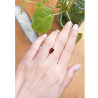 1.81 Ct. Zircon from Ceylon (Sri Lanka) Life Style