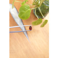 1.81 Ct. Zircon from Ceylon (Sri Lanka) Life Style