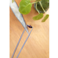 1.45 Ct. Zircon from Ceylon (Sri Lanka) Life Style