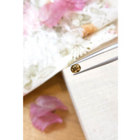 0.92 Ct. Zircon from Ceylon (Sri Lanka) Life Style