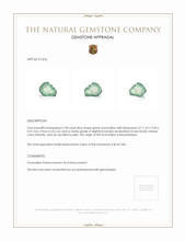 3.58 Ct. Tourmaline from Mozambique Appraisal