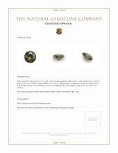 1.21 Ct. Zircon from Ceylon (Sri Lanka) Appraisal
