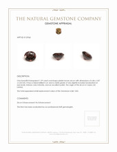 1.59 Ct. Zircon from Ceylon (Sri Lanka) Appraisal