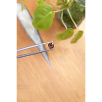 1.59 Ct. Zircon from Ceylon (Sri Lanka) Life Style