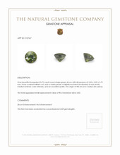 0.72 Ct. Zircon from Ceylon (Sri Lanka) Appraisal
