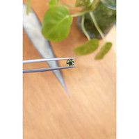 0.72 Ct. Zircon from Ceylon (Sri Lanka) Life Style