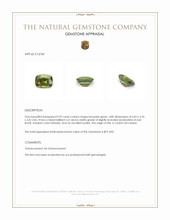 0.92 Ct. Brownish Green Zircon from Ceylon (Sri Lanka) Appraisal