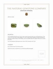 0.92 Ct. Zircon from Ceylon (Sri Lanka) Appraisal
