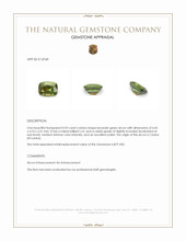 0.92 Ct. Zircon from Ceylon (Sri Lanka) Appraisal