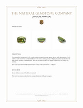 0.92 Ct. Zircon from Ceylon (Sri Lanka) Appraisal