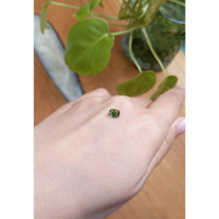 0.92 Ct. Zircon from Ceylon (Sri Lanka) Life Style