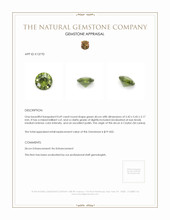 0.69 Ct. Zircon from Ceylon (Sri Lanka) Appraisal