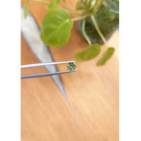 0.69 Ct. Zircon from Ceylon (Sri Lanka) Life Style