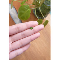 0.69 Ct. Zircon from Ceylon (Sri Lanka) Life Style