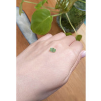 1.65 Ct. Zircon from Ceylon (Sri Lanka) Life Style