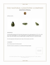 0.78 Ct. Zircon from Ceylon (Sri Lanka) Appraisal