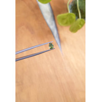 0.77 Ct. Zircon from Ceylon (Sri Lanka) Life Style